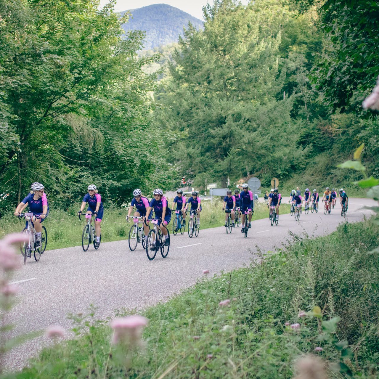 Fietsreis voor kankerpatiënten in remissie met Ruthie's Route in de Vogezen, Grand Ballon, georganiseerd door VeVents in Frankrijk